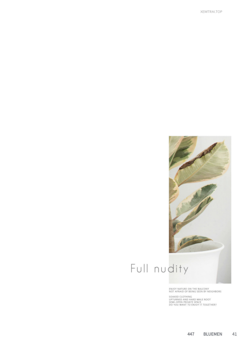 053.png