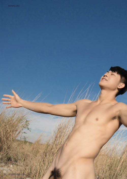 0477d48dceb12816ef8.png