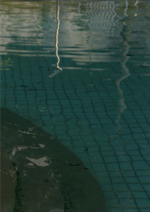 073.png